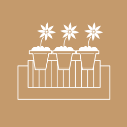 Balcony Planters