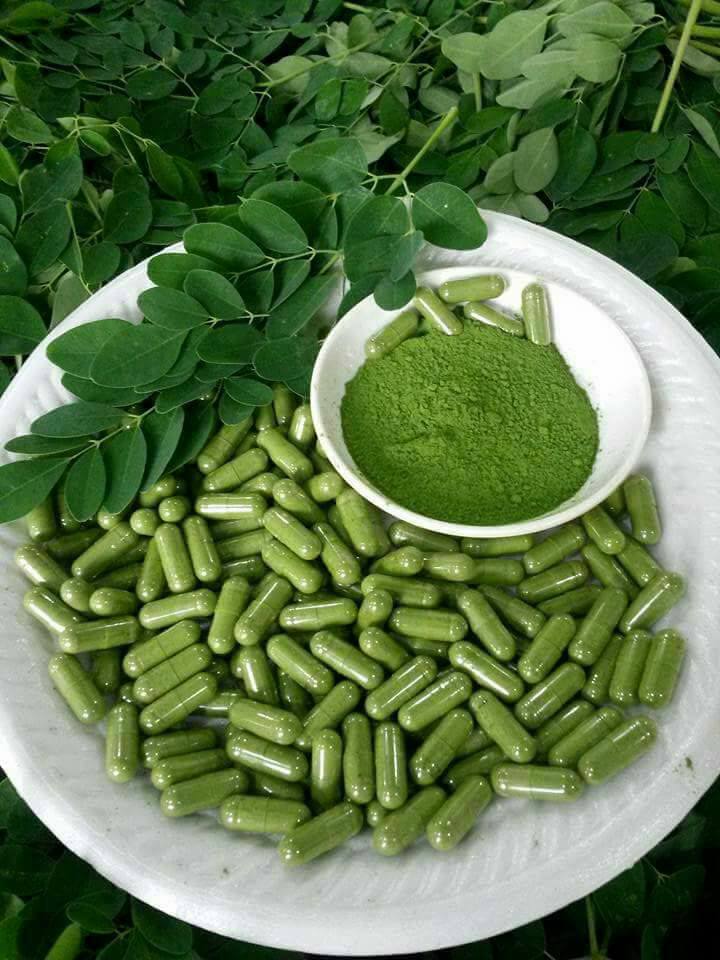 Moringa leaf powder capsule