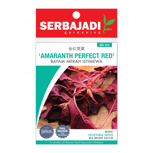 Serbajadi amaranth perfect red seeds