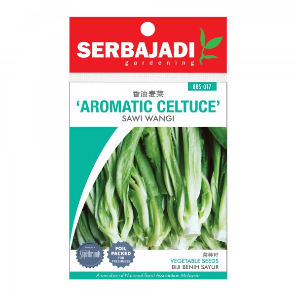 Serbajadi aromatic celtuce seeds