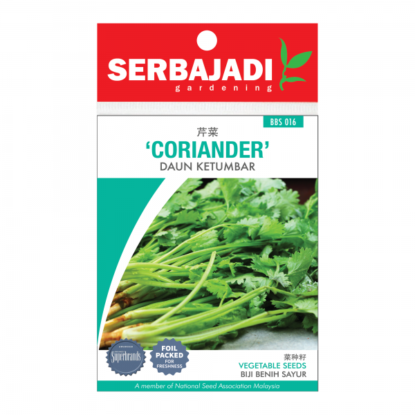 Serbajadi coriander seeds