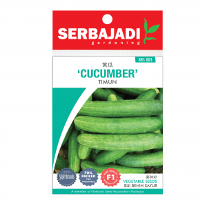 Serbajadi cucumber seeds