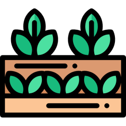 Raised Beds