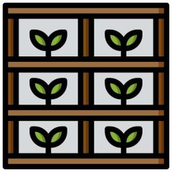 Vertical Gardening